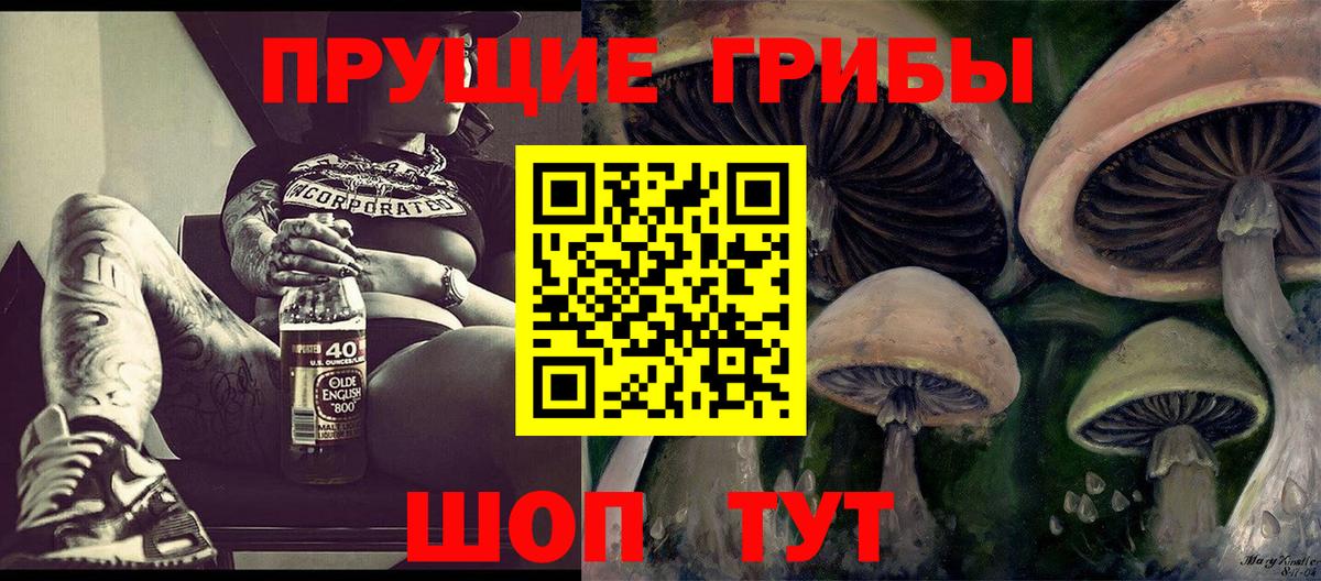 Энгельс  Псилоцибиновые грибы Psilocybine cubensis  Вход с VPN 