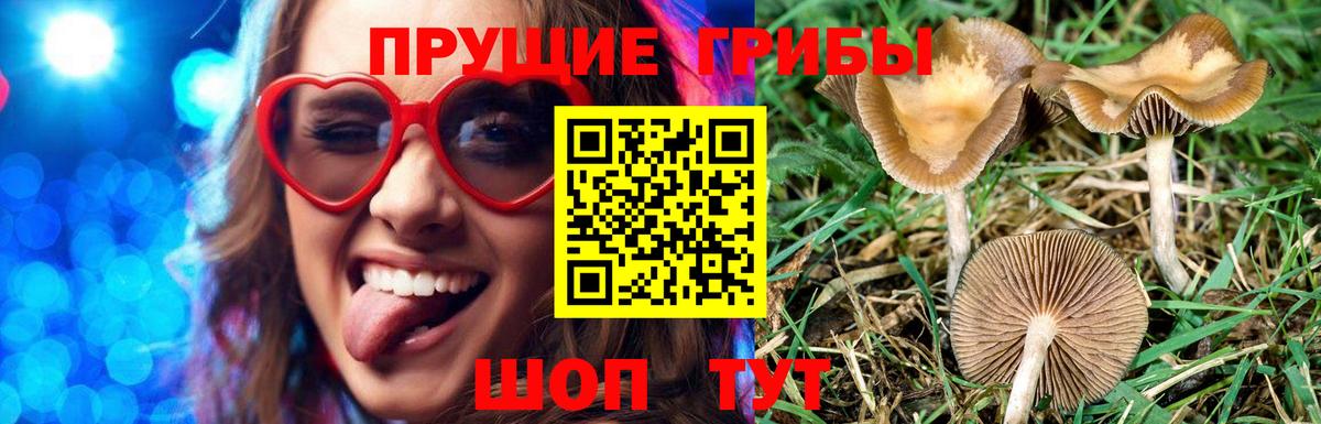 Экстази  Кокаин  Энгельс  Меф   ГАШИШ  Марихуана  A-PVP СОЛЬ кристаллы  Вход с VPN 