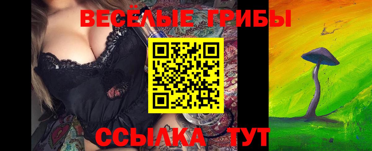 Галлюциногенные грибы прущие грибы Энгельс