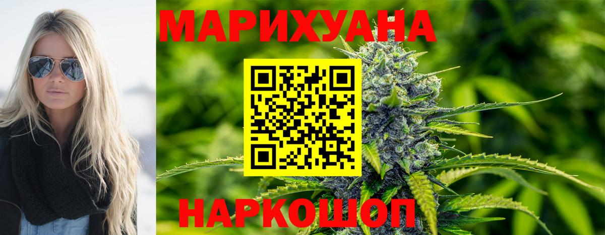 Каннабис планчик Энгельс